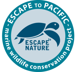 Escape to Pacific logo
